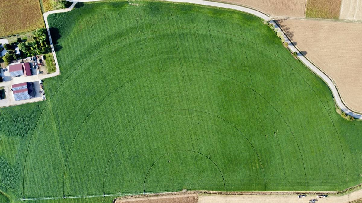 Campo agricolo irrigato ripreso dall'alto con drone