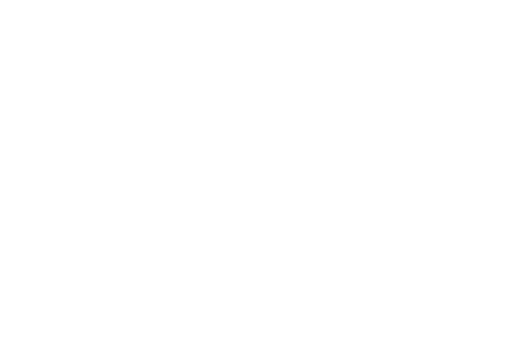 FriulDrone